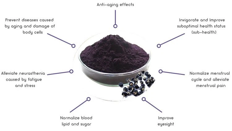 Black Goji Berry Powder Benefits