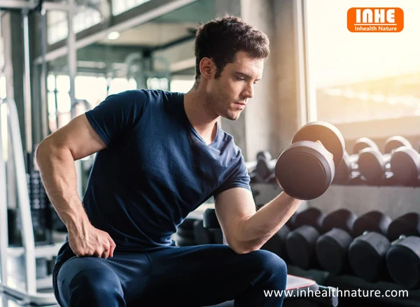 Epicatechin Powder Enhances Muscle Strength and Mass