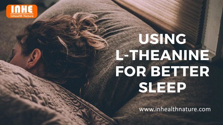 How Does L-theanine Powder Improve Sleep Quality How Does L-theanine Powder Improve Sleep Quality