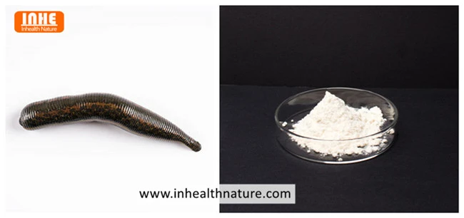 Leech and Hirudin Powder