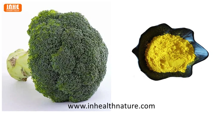 Broccoli and Broccoli Seed Powder