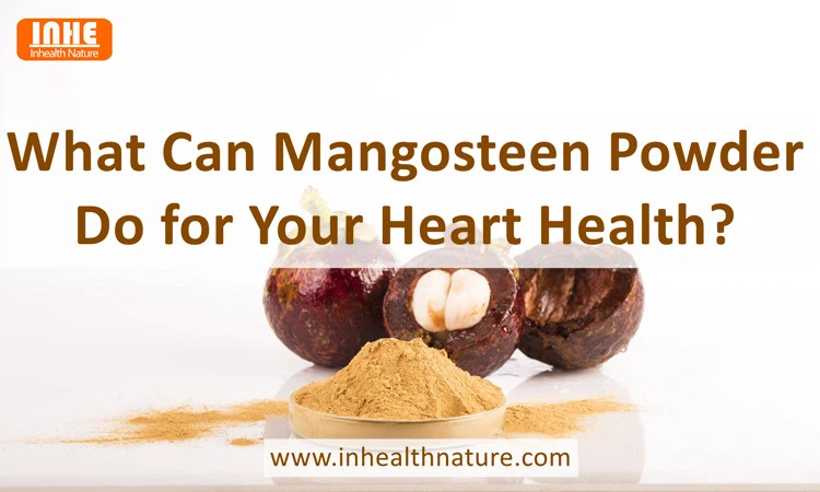 What Can Mangosteen Powder Do for Your Heart Health What Can Mangosteen Powder Do for Your Heart Health