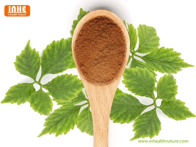 Jiaogulan Extract Powder
