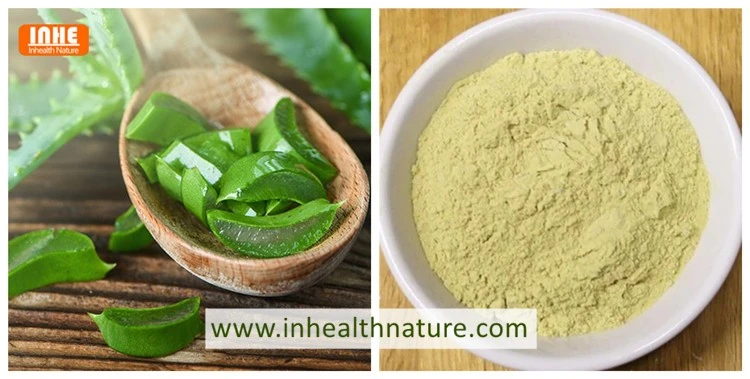 Aloe Vera and Aloe Vera Powder