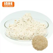 bubuk quinoa