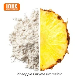 Mana yang Lebih Baik? Bromelain atau Papapin?