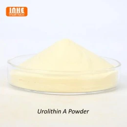 Apakah Urolithin A Cocok untuk Produk Perawatan Kulit?