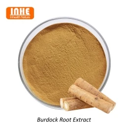 Apa Bahan Aktif Inti Ekstrak Burdock?