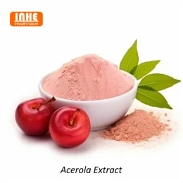 Panduan Seleksi Komprehensif untuk Pembeli B2B Ekstrak Ceri Acerola