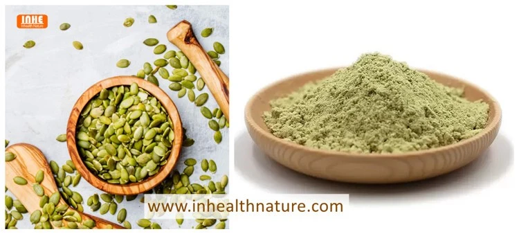 Pumpkin Seed and its Extract Powder Pumpkin Seed and its Extract Powder