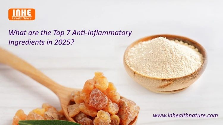 What are the Top 7 Anti-inflammatory Ingredients in 2025