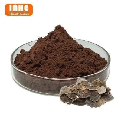 40-Turkey Tail Mushroom Extract Powder 40-Turkey Tail Mushroom Extract Powder
