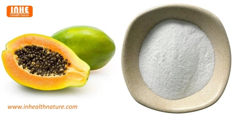 Carica Papaya and Papain Powder Carica Papaya and Papain Powder