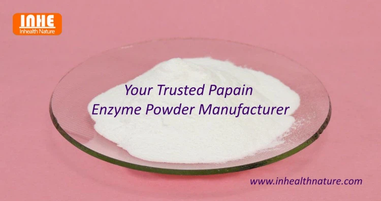 Papain Enzyme Powder Manufacturer Papain Enzyme Powder Manufacturer